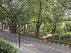 -星巴克(深圳侨城街店)
