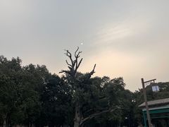 -北京市劳动人民文化宫(太庙)