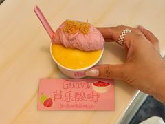 -红楼HONGLOU Gelato(淮海中路店)
