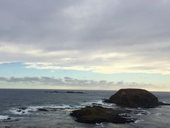 -企鹅岛