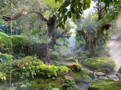 -Chom Cafe and Restaurant