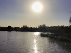 -东郊湿地公园