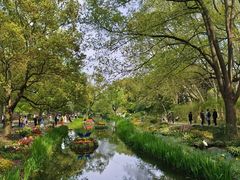 -上海共青森林公园