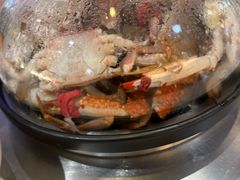 -半岛听涛蒸汽海鲜自助(K11店)