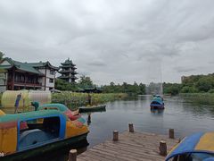 -桂湖森林公园