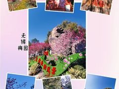 -无锡梅园公园