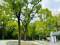 -中山公园