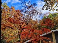 -九曜山