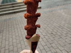 老长沙大香肠-黑色经典臭豆腐·湖南特产(潇湘文化店)