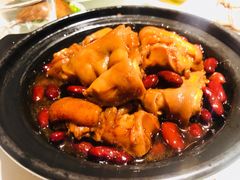 南乳花生猪手煲-维园悦谱·海派家常菜(乌鲁木齐南路店)