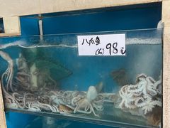 -胶东海鲜大排档(北太平庄店)