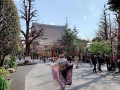 -东京浅草和服体验江户和装工房雅(浅草本店)