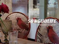 -SONGUOLIFE松果咖啡(七莘路店)