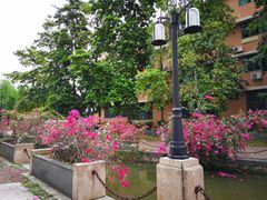 -广东外语外贸大学(白云山校区)