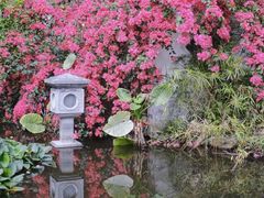 -深圳国际园林花卉博览园