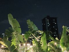 -天空花园餐吧·生日·团建(南山店)