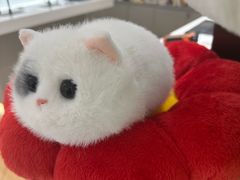 -鹰巢数码·EAGLE’S NEST(SKP店)