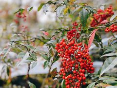 -一江春水·杭帮臻宴(三台山店)