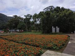-广州市石门国家森林公园