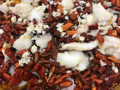 沸腾鱼片-东康桂家农庄
