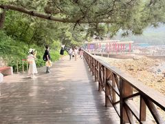 -青岛崂山太清宫