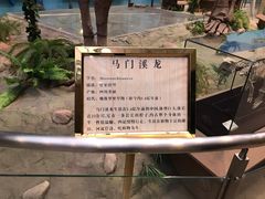 -陕西自然博物馆