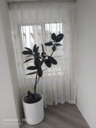 -HEYAN荷妍专业脱毛连锁机构