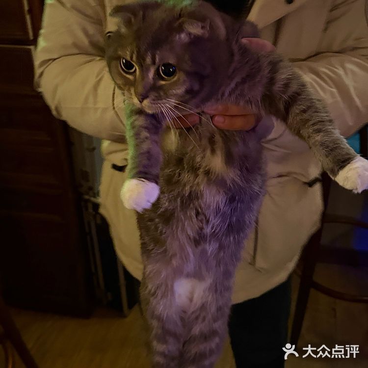 在永康路!发现好吃好玩的宝藏小店!