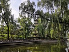 -迎泽公园