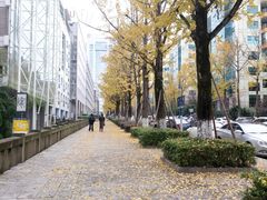 -百林公园-两江幸福广场