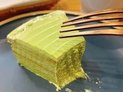 开心果千层-叶太YETAI(良库店)