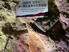 -周口店北京人遗址公园