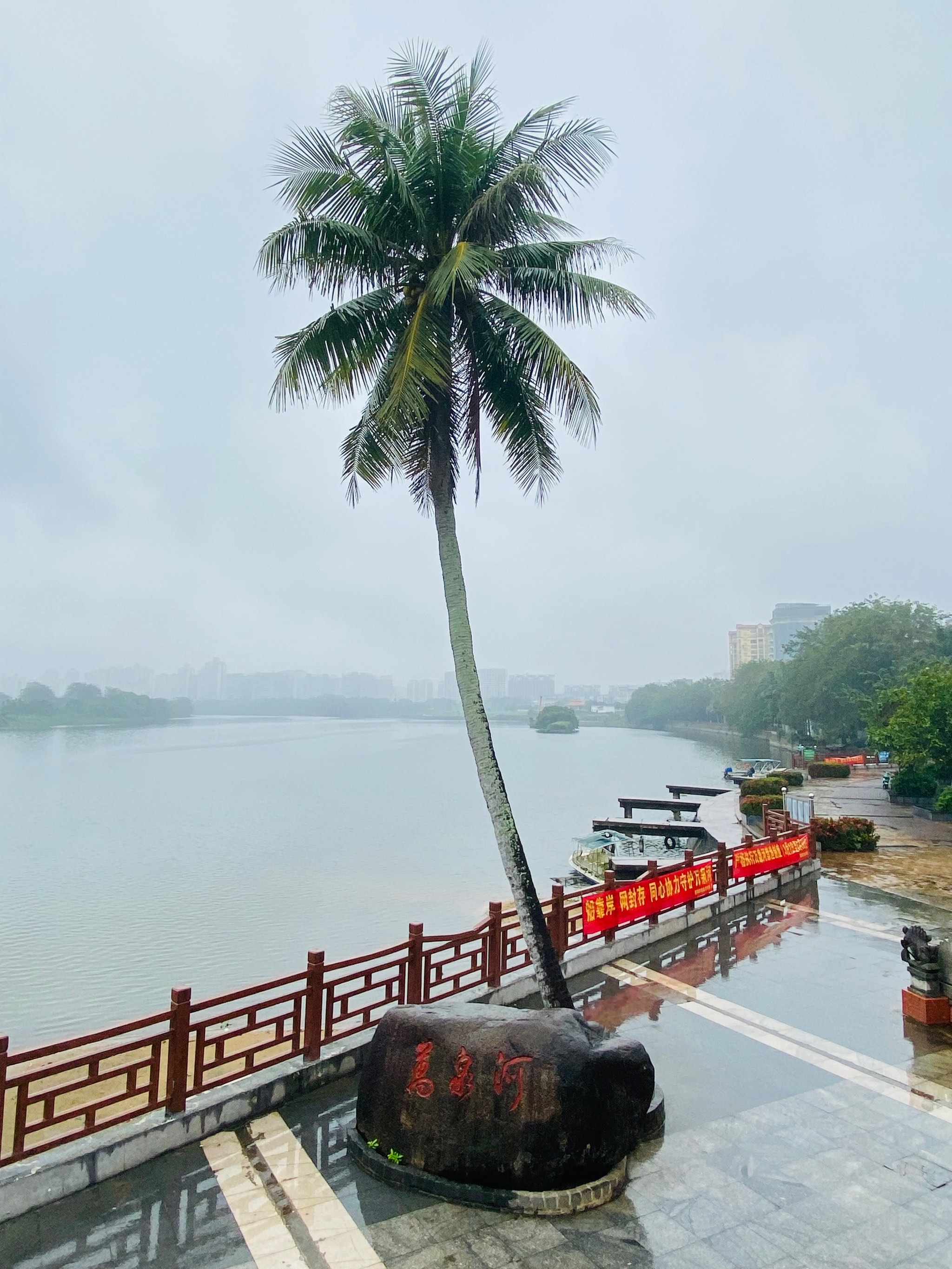 [爱心]
我爱五指山,我爱万泉河,万泉河打卡9115

#城市