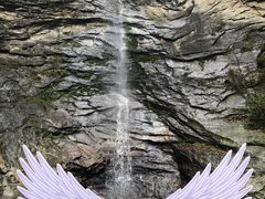 -少华山国家森林公园