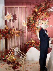 点击看大图 -红丝高端婚礼中心(旗舰店)