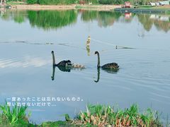 -上海辰山植物园