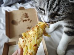 -必胜客(欧亚卖场店)