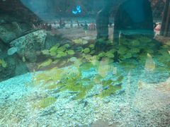 -波塞冬旅游度假区