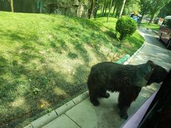 -北京野生动物园