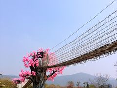 -天适樱花悠乐园