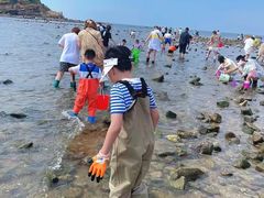 -巧克力渔家.小船海鲜胶东菜(万平口店)