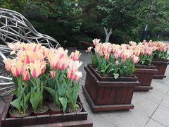-南山植物园