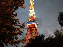 -东京塔海贼王主题公园