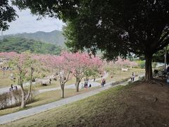 -风云岭森林公园
