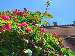 -陈熹公民族美食文化餐厅(中华广场店)