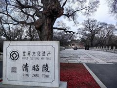-北陵公园