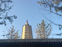-舍利塔滩地公园-无垢净光舍利塔