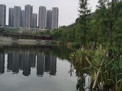 -重庆彩云湖湿地公园
