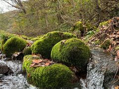 -三块石国家森林公园