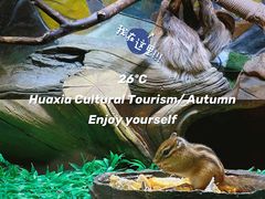 -华夏文旅海洋公园